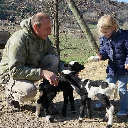 Domaine Du Bas Chalus Villa Forcalquier Dış mekan fotoğraf